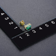 Load image into Gallery viewer, Ladies Earrings
