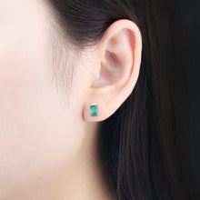Load image into Gallery viewer, Ladies Earrings
